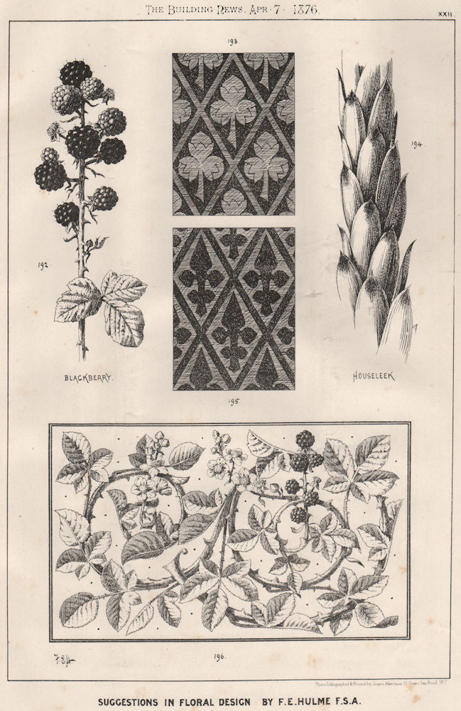 Suggestions in Floral; Design by F.E. Hulme F.S.A.. Decorative (20) 1876 print